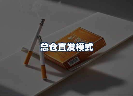 专业团队办公环境